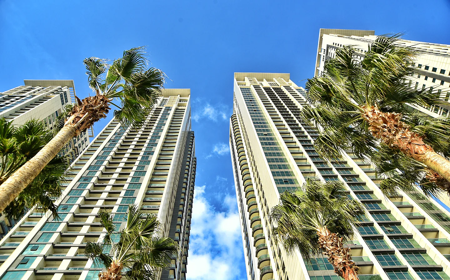 Palm trees and high-rise towers in Florida