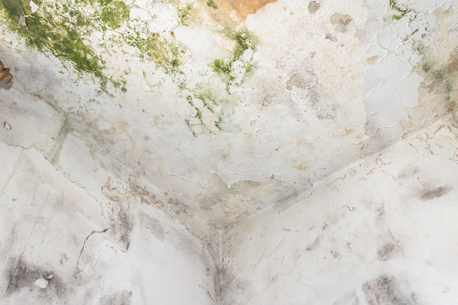 Moisture damage inside a building