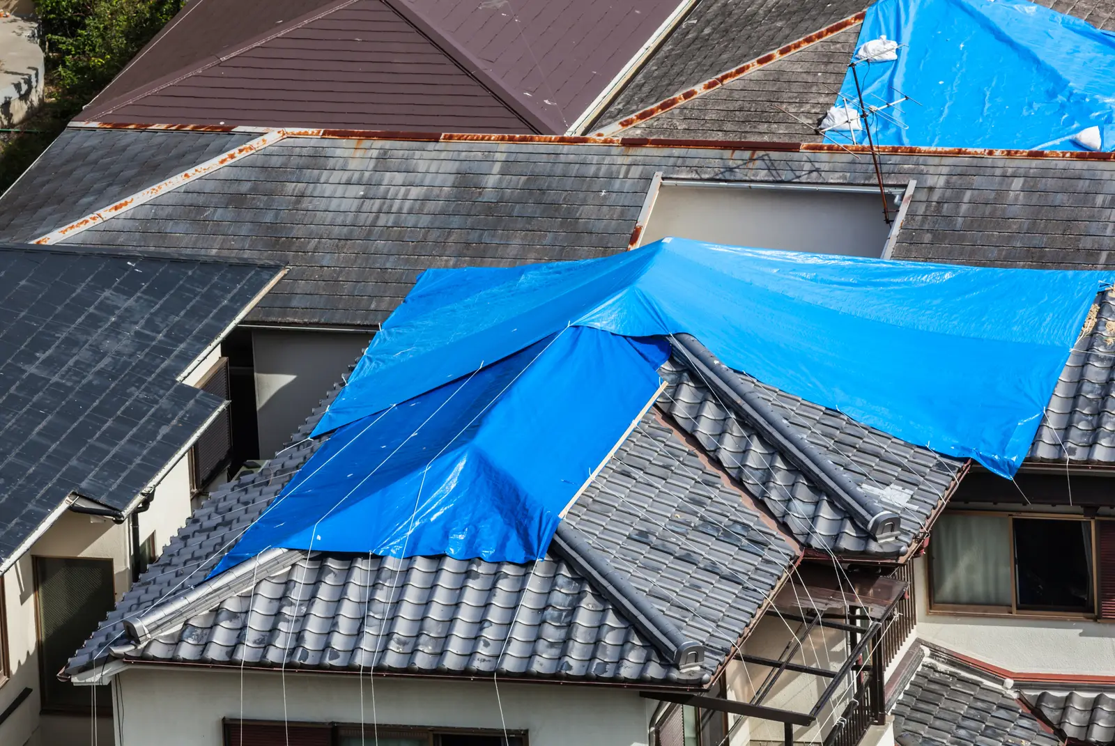 Roof under evaluation